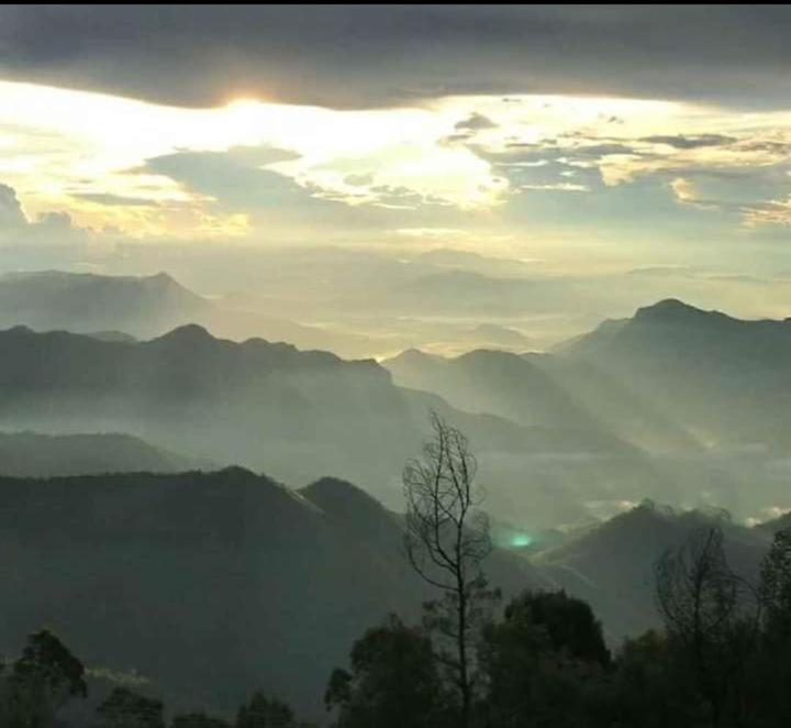 Praveen'S Wood House Kodaikanal Vattakanal Экстерьер фото